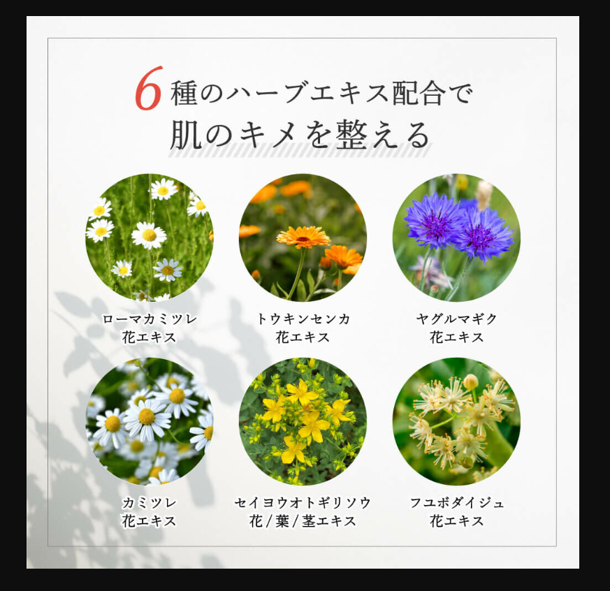 [Japan Agency Direct Mail] Daily Aroma Japan Kochi Prefecture Yuzu Hydrating Mask