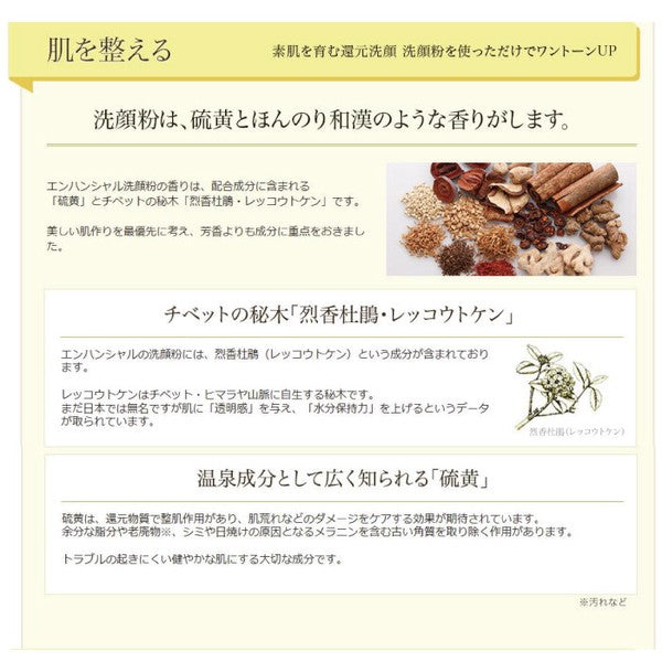 [Japan Proxy Shopping Direct Mail] ENHANCIAL Enzyme Face Wash Powder 100% Natural Ingredients 50g